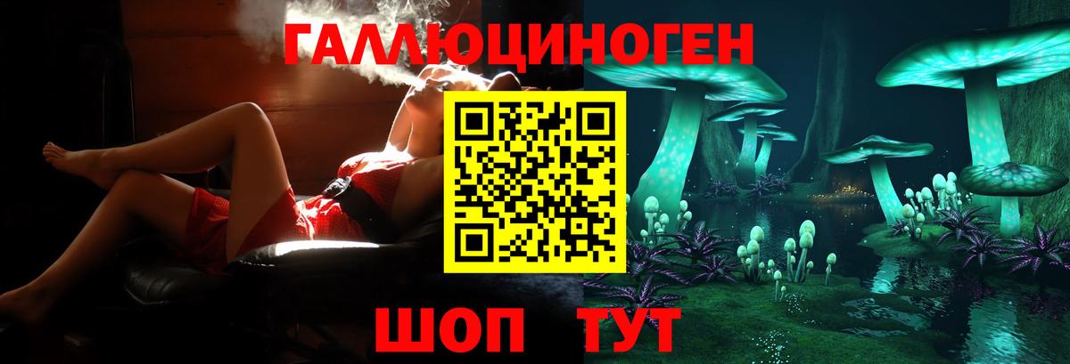Галлюциногенные грибы прущие грибы  Вход с VPN  Уссурийск 
